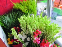 Locally grown fresh flowers and ornamental leaves find space in showroom